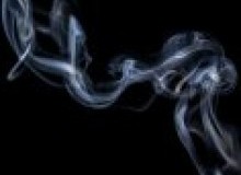 Kwikfynd Drain Smoke Testing
pointwilson